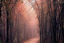 天涯社区安徽站真暖心！网友互相倾诉烦恼解闷又能找路子