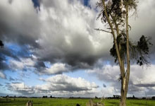 天涯社区情感天地：当小三们指点江山