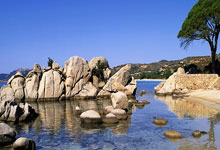 天涯社区家庭装修经验分享：二手房翻新攻略与避坑指南